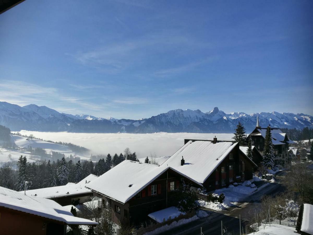 Ackaert Ferienwohnung Top Of Thun Dış mekan fotoğraf