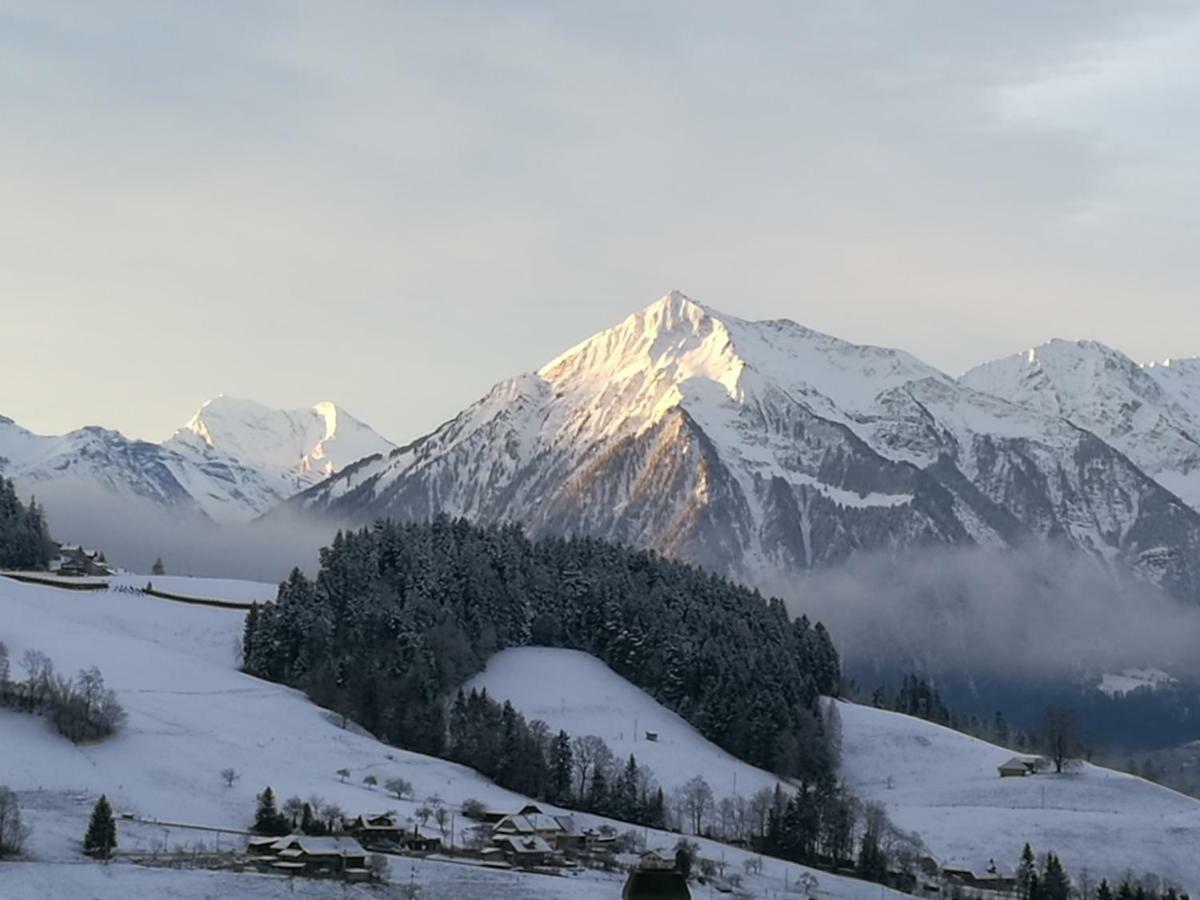 Ackaert Ferienwohnung Top Of Thun Dış mekan fotoğraf