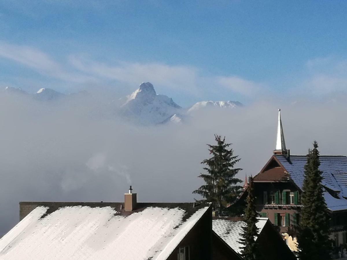Ackaert Ferienwohnung Top Of Thun Dış mekan fotoğraf