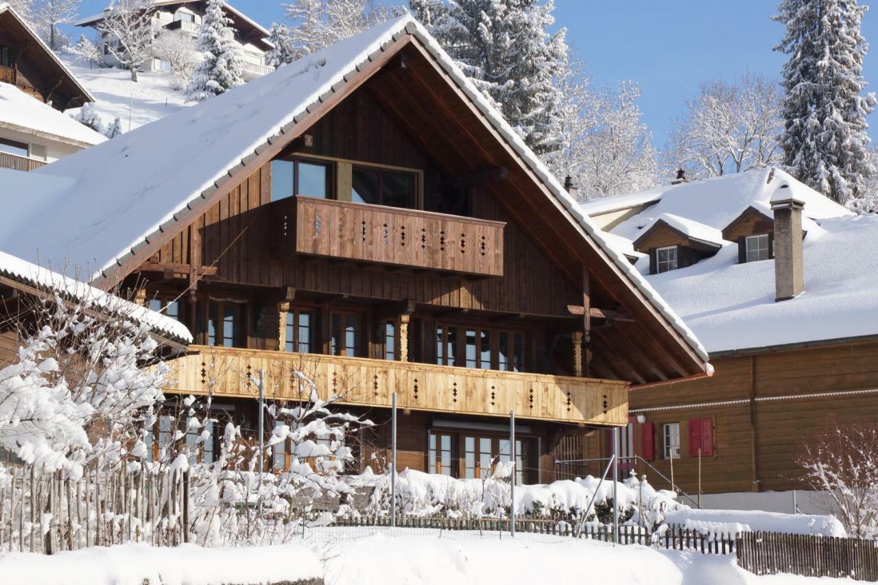 Ackaert Ferienwohnung Top Of Thun Dış mekan fotoğraf